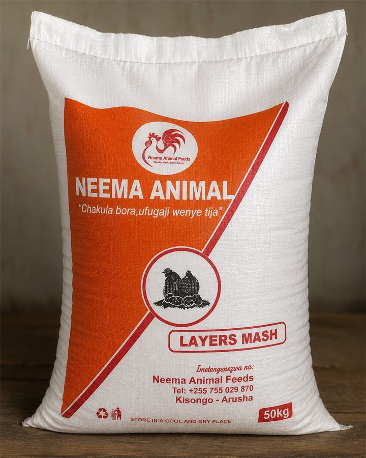 Layer Mash feed for laying hens